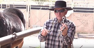 Bits and Bridles for Mules and Donkeys