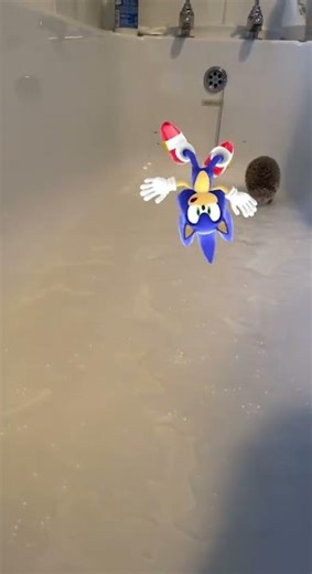 sonic gets betrayed by a hedeghog