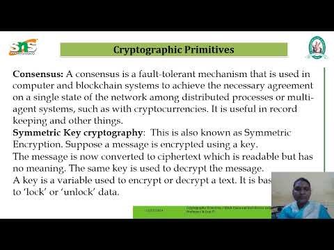 BLOCKCHAIN AND DISTRIBUTIVE LEDGER I CRYPTOGRAPHIC PRIMITIVES I SNS INSTITUTIONS