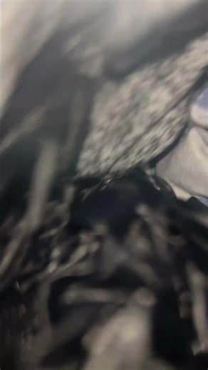 Dexter WC0 T300 wash action