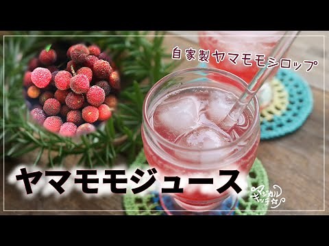 自家製シロップ【ヤマモモジュース】実のなる季節に