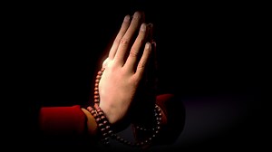 Hand anatomical study - Pray - - Download Free 3D model by cromo3d