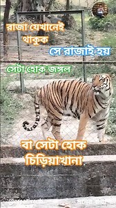 The Unbelievable Story of Kolkata's Alipore Zoo Tigers