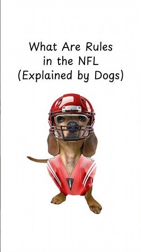 Rules in NFL Explained by Wiener Dog