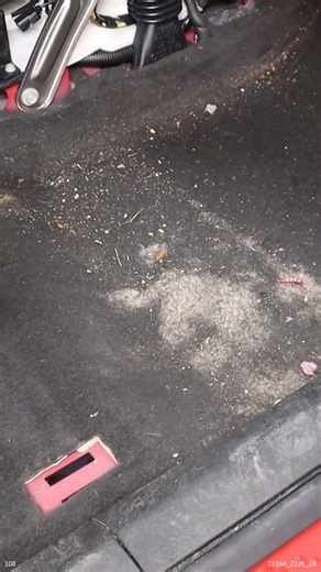 Pro Interior Detailing | MAD Detailing