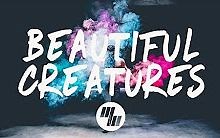 【日推】【歌词版】Illenium - Beautiful Creatures Feat. MAX
