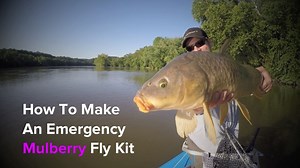 How to Make an Emergency Mulberry Fly Kit