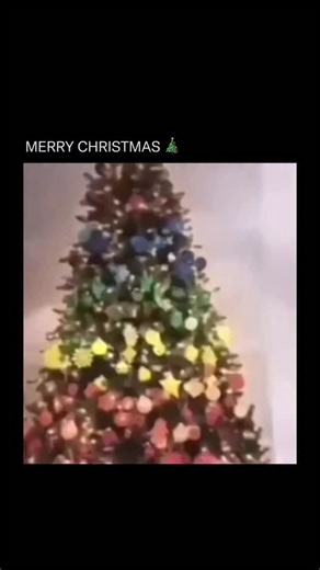 Popular Media Clips on Instagram: "MERRY CHRISTMAS WOOOOOO Christmas is an annual Christian holiday celebrated on December 25th, commemorating the birth of Jesus Christ, whom Christians believe to be the Son of God and the savior of humanity. Rooted in biblical accounts of Jesus’ nativity in Bethlehem, it has evolved into a global cultural and secular festival marked by traditions such as decorating Christmas trees, exchanging gifts, gathering with family for festive meals, singing carols, and s