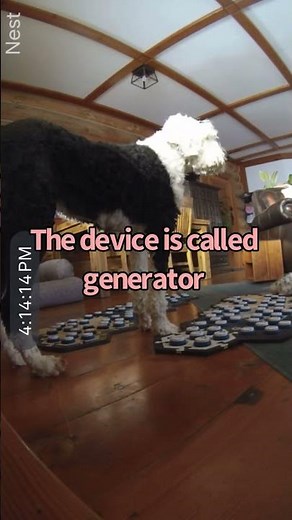 Classic Bunny making sure everything is up to code 👷‍♀️