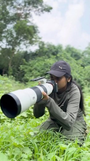Russell’s viper (Daboia russelii) is a species of highly venomous snake in the family Viperidae. The species is native to South Asia. It was described in 1797 by George Shaw and Frederick Polydore Nodder. It is named after Patrick Russell. Known for its extremely painful bite, it is considered one of the most dangerous big four snakes in India. #viral#snake #snakebite #photography #wildlife #trending #trendingreel #reelsviralシfb #newreel #bbc #bbcearth #natgeoindia #wild #naturephotography #trav