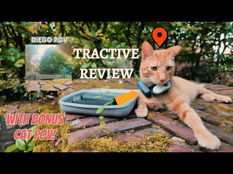 Where does your cat go? - Tractive Mini Review (2024) - With bonus cat POV!😻