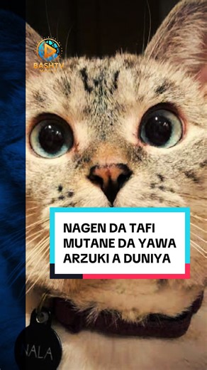 Magen Da Tafi Mutane Da Dama Arzuki A Duniya