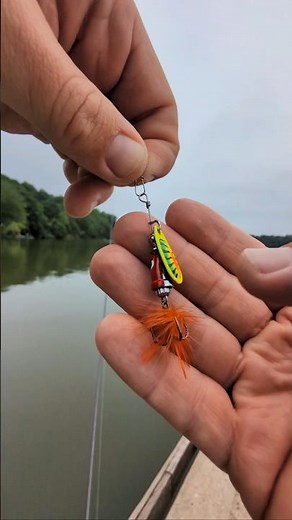 Catching a Yellow Perch with Strike Pro Jingle Bell 1/8 oz. Spinner fishing lure | ASMR #fishing