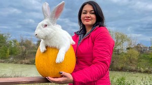 #rabbit #pumpkin #recipe Hello to all my favorite viewers and subscribers of the channel! Today I have an unusual dish, namely a tender rabbit cooked inside a pumpkin with vegetables and onions. Due to the huge release of juice from pumpkin and vegetables, the meat begins to stew almost immediately and as a result it turns out incredibly juicy and tender. Meat just melts in your mouth! And I'm not exaggerating that. Be sure to try to cook this dish according to my recipe to surprise each of your