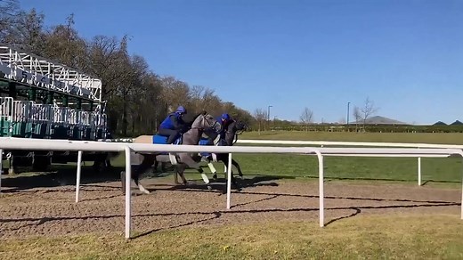 34K views · 567 reactions |  Ready, steady, go! Two-year-olds learning the ropes in the stalls at Moulton Paddocks with Kieren Fallon on board  | Godolphin | Facebook