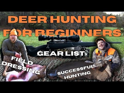 Whitetail Deer Hunting Basics - A Beginner’s Guide