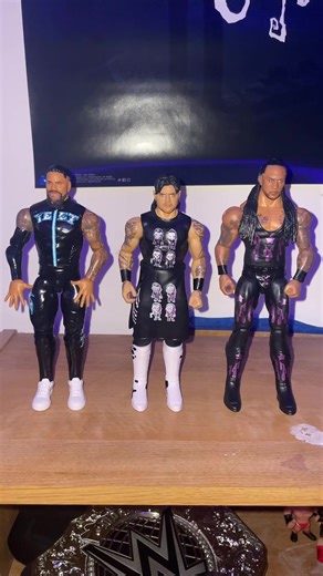 Managing Duplicate WWE Action Figures Collection