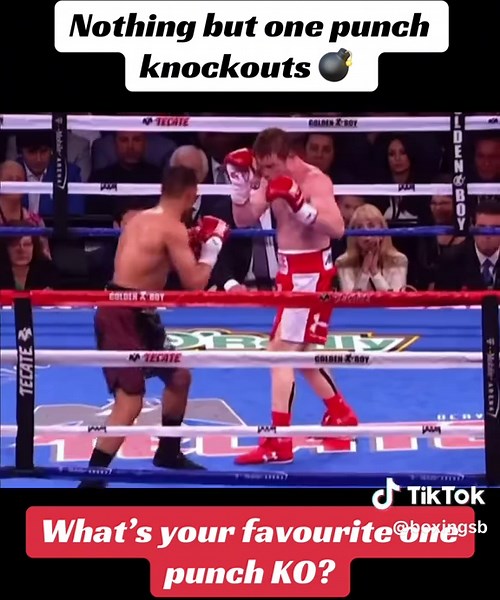 Boxing Knockouts: The Best Single Punch Finishes