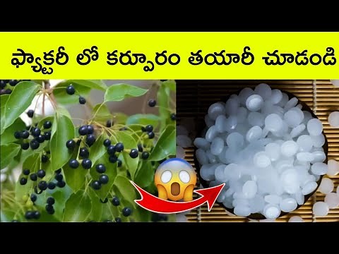 Camphor making process in factory | factory made videos | food factory | karpooram | BMC Facts