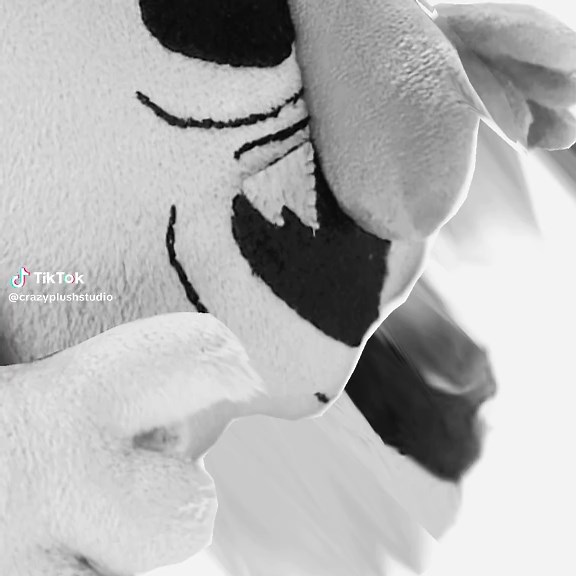 CrazyPlushStudio на TikTok