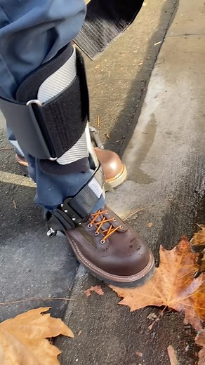 Certified Arborist on Instagram: "🔥"