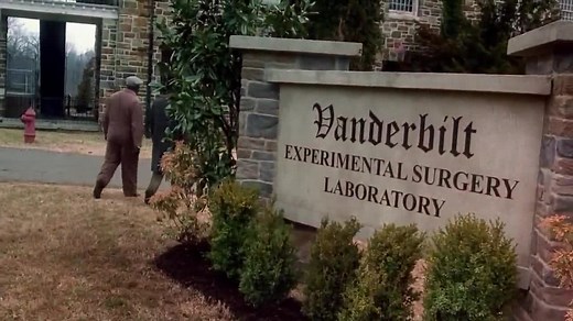 W Rękach Boga Lektor Pl