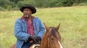 Dr. Dolittle 3. (2006)