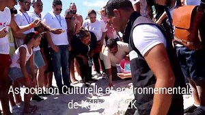 43K views · 377 reactions | Des moments remplis d'émotions #ACEK Musique James Horner - Braveheart Theme Song Filmée par Galai Wassim | Kélibia en images | Facebook