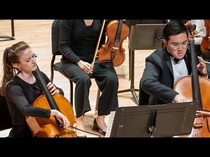 Vivaldi - Concerto for two cellos G minor