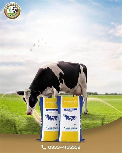 The best in the business!! We offers premium imported nutraceuticals with complimentary farm technical services and expert veterinary guidance for optimal livestock health and productivity. #AlKaramAgro #AlKaramFeeds #Rindamin #Minerals #Vitamins #Agriculture #Crops #Breeding #Organic #Livestock #Feed #Seeds #AsiaLiveStock #MultanRoad #Sundar #Lahore | Al-Karam Agro & Livestock Pvt. Ltd.