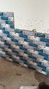 13K views · 39 reactions | Fixing wall tiles ceramic fixing for camical #design #fixing #tile #wall | its sunny tile marbale | Facebook