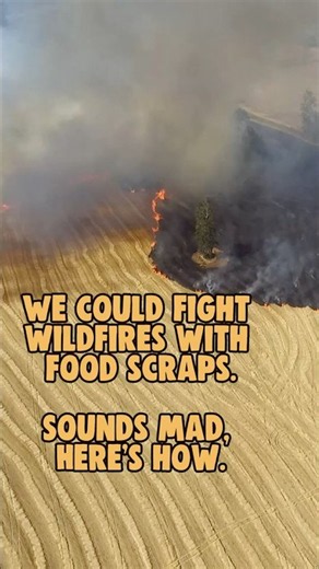 How food scraps can tackle wildfires