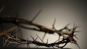 Crown of thorns