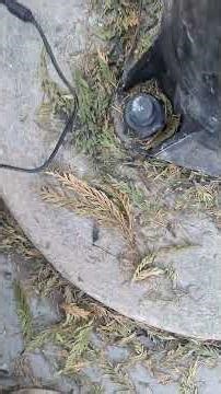 evercross h5 scooter charger not working