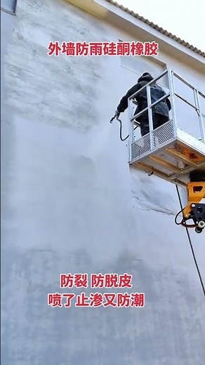 Fixing Damp Exterior Walls: Waterproofing & Mold Prevention