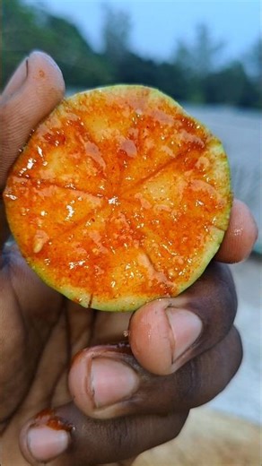 {Mini} Guava {Makha} 🤤|| [Spicy] Guava 🌶️||