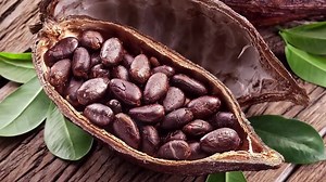 9.8K views · 182 reactions | Drink Crio to get natural energy, magnesium and many more health benefits. Being healthy never tasted this good! Our latest deal: $10.95 and use promo code "freeshipping" at checkout for free shipping. | Crio Bru | Facebook