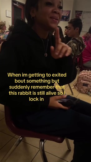 Yellow font | rabbit