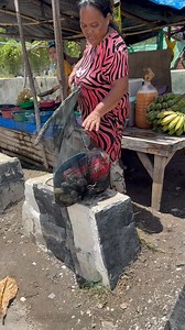 Ang dami mo talagang mabibili na mga shells dito sa kanilang isla | Dolpoor