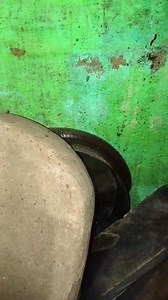 #snake #snakeskin #snakelover | Chandan Clement Singh