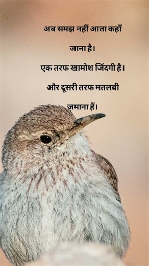 Thought of the Day574#shorts #viralshorts#trending shorts #youtubeshorts #motivational #p&pthoughts