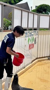 桂浜水族館のイケメン飼育員｜ペンギン出演のバラエティ登場