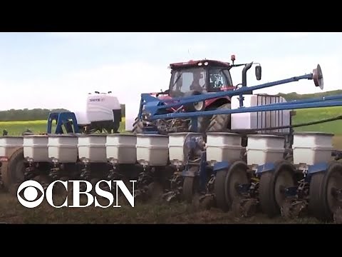 Farmers adopt "climate smart farming" techniques