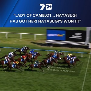 18K views · 147 reactions | The Blue Diamond Preview launched Hayasugi’s path to Blue Diamond glory in 2024!  Will we see the 2026 Blue Diamond winner step out on Saturday?  | 7HorseRacing | Facebook