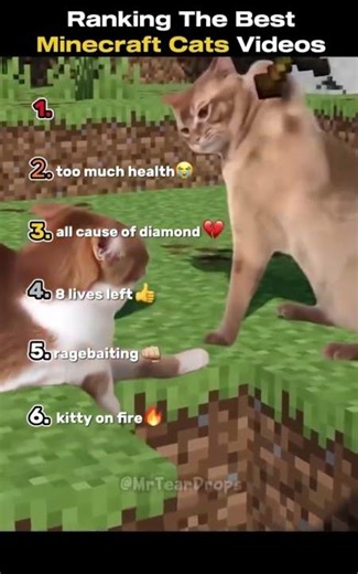 Best Minecraft Cat Moments 😂 🔥 Like & Sub for more! 😏