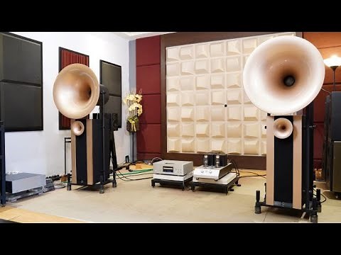 Audio Note Jinro + Avantgarde Acoustic DUO G2 🔊 On Demo 🔊