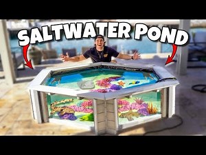 I Built My DREAM SALTWATER MINI POND!