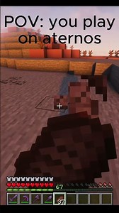 POV you play on aternos