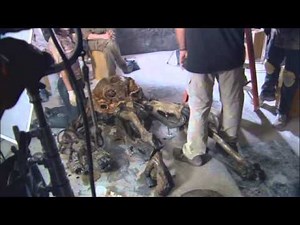 Battle Los Angeles Alien Autopsy