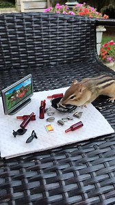 116K views · 3.3K reactions | Saturday night goals 菱 #monalisathechippy | Van Gogh the Chippy | Facebook